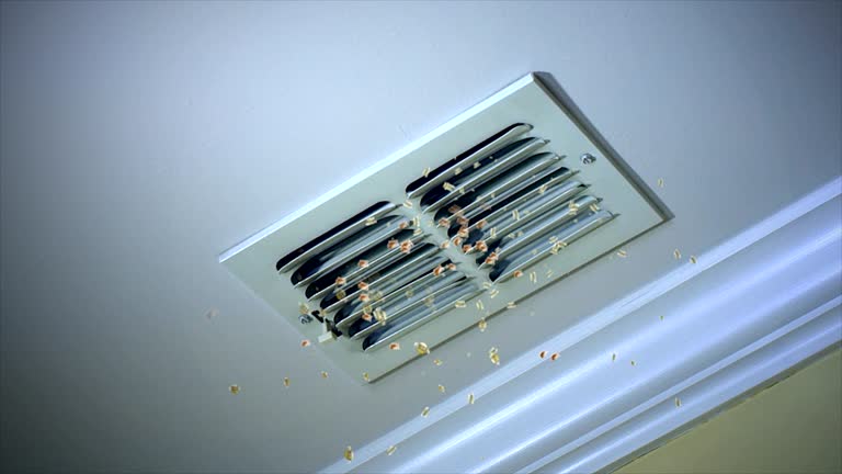 Best HVAC Duct Inspection Services  in Anderson, CA
